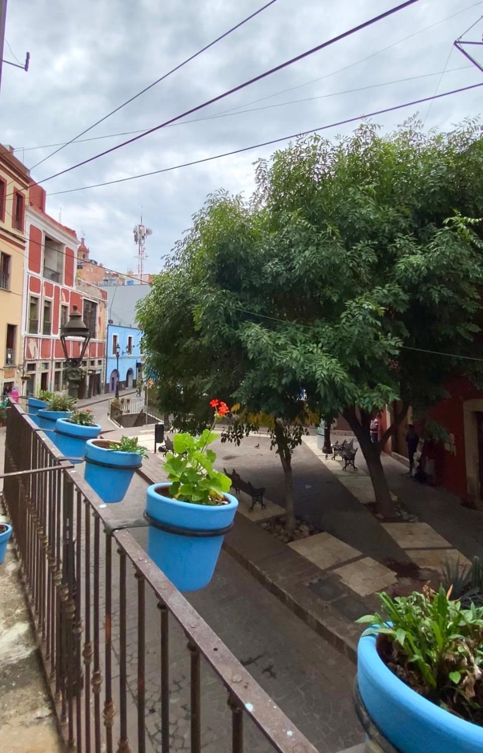 Casa Alonso53 *